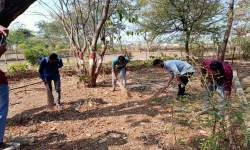 महाविद्यालय परिसर स्वच्छता (गार्डन) अभियान    दिनांक:  १०ऑक्टोबर २०२०