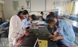 Model making activity to clarify concept of fossilization