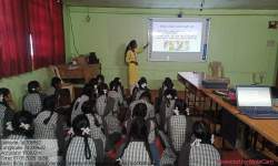 Extension activity: Migration in Birds