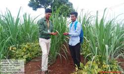 Soil and Water analysis Camp at Valivade Dist Kolhapur