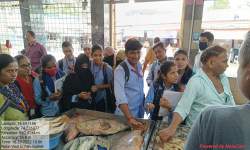 Study visit to Kolhapur fish market (B.Sc. III) (Department of Zoology)