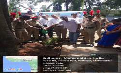 Tree plantation