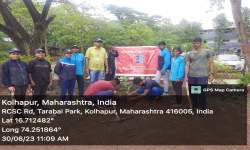 Tree Plantation